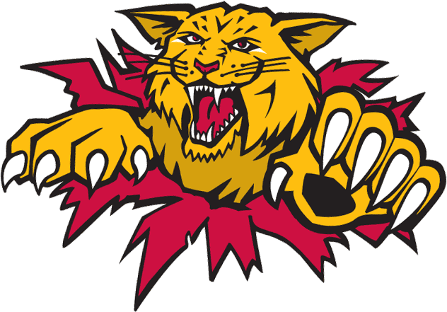 moncton wildcats iron ons